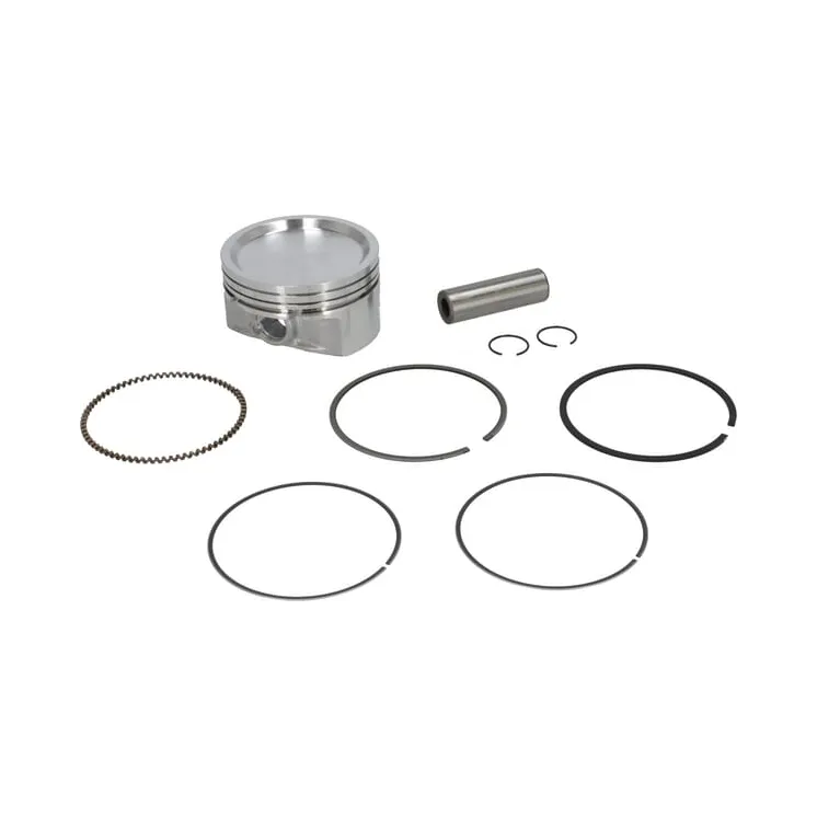 Piston assembly  843805 Briggs & Stratton