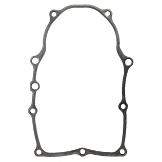 Crankcase gasket  846487 Briggs & Stratton 691684 842589 843970 845254