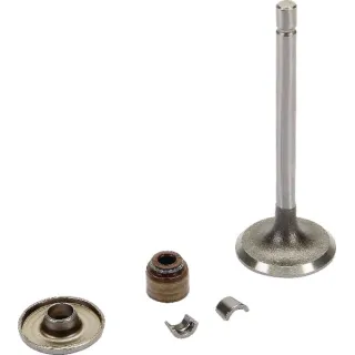 Ieplūdes vārsts 843751 Briggs & Stratton 806420