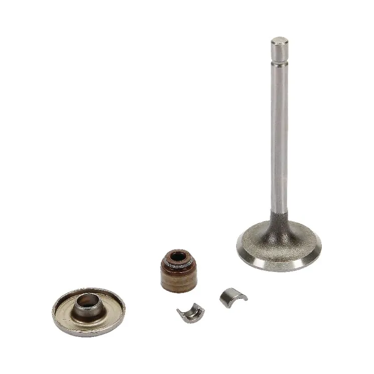 Intake valve  843751 Briggs & Stratton 806420