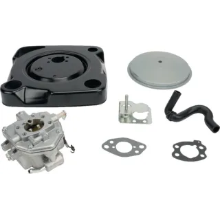 Carburettor  846082 Briggs & Stratton