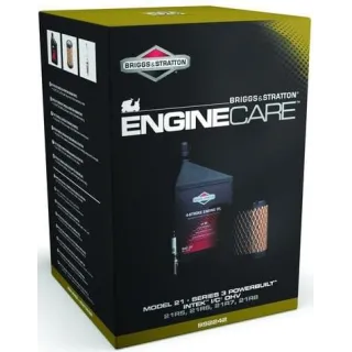 Service kit, model 21  992242 Briggs & Stratton