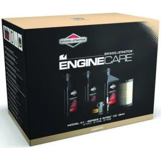 Service kit, model 31  992243 Briggs & Stratton