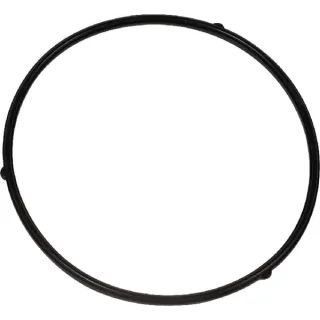 Seal  AK411906 AL-KO