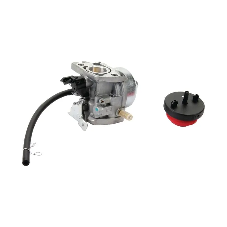 Carburettor  AK412430 AL-KO