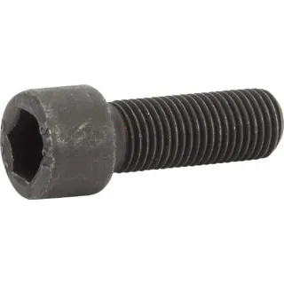 Asmens skrūve 7/16X1-1/4 AK522515 AL-KO