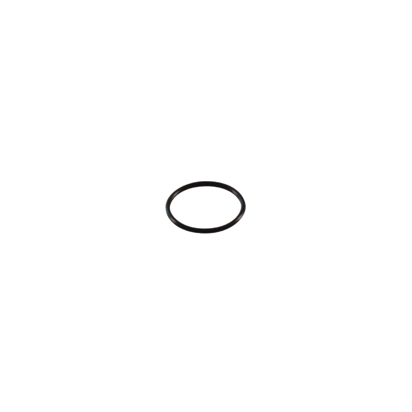 O-ring 31.00/2.50  AK401495 AL-KO