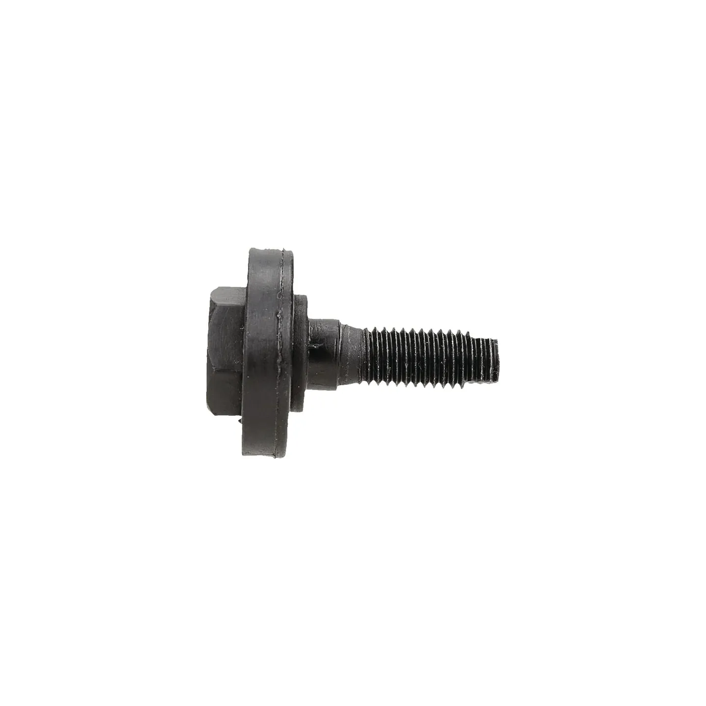 Asmens skrūve AK470260 AL-KO