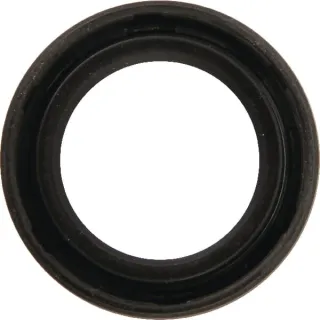 Eļļas blīve 25x38x7 AK411832 AL-KO
