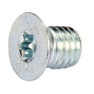 Skrūve VTK 8X010 AK503616 AL-KO AK50597230