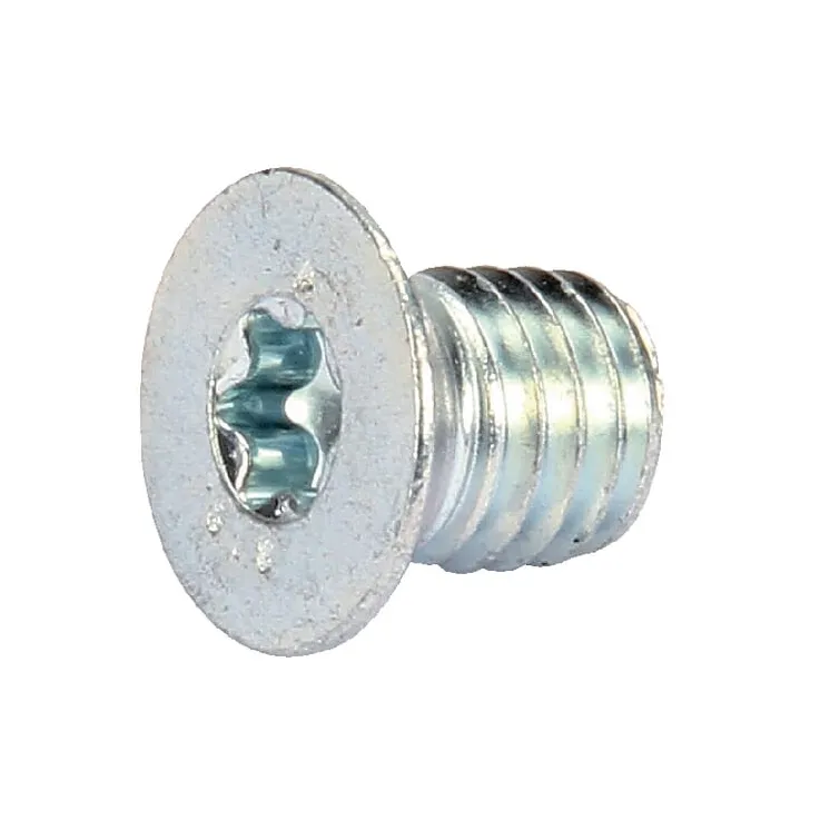 Skrūve VTK 8X010 AK503616 AL-KO AK50597230