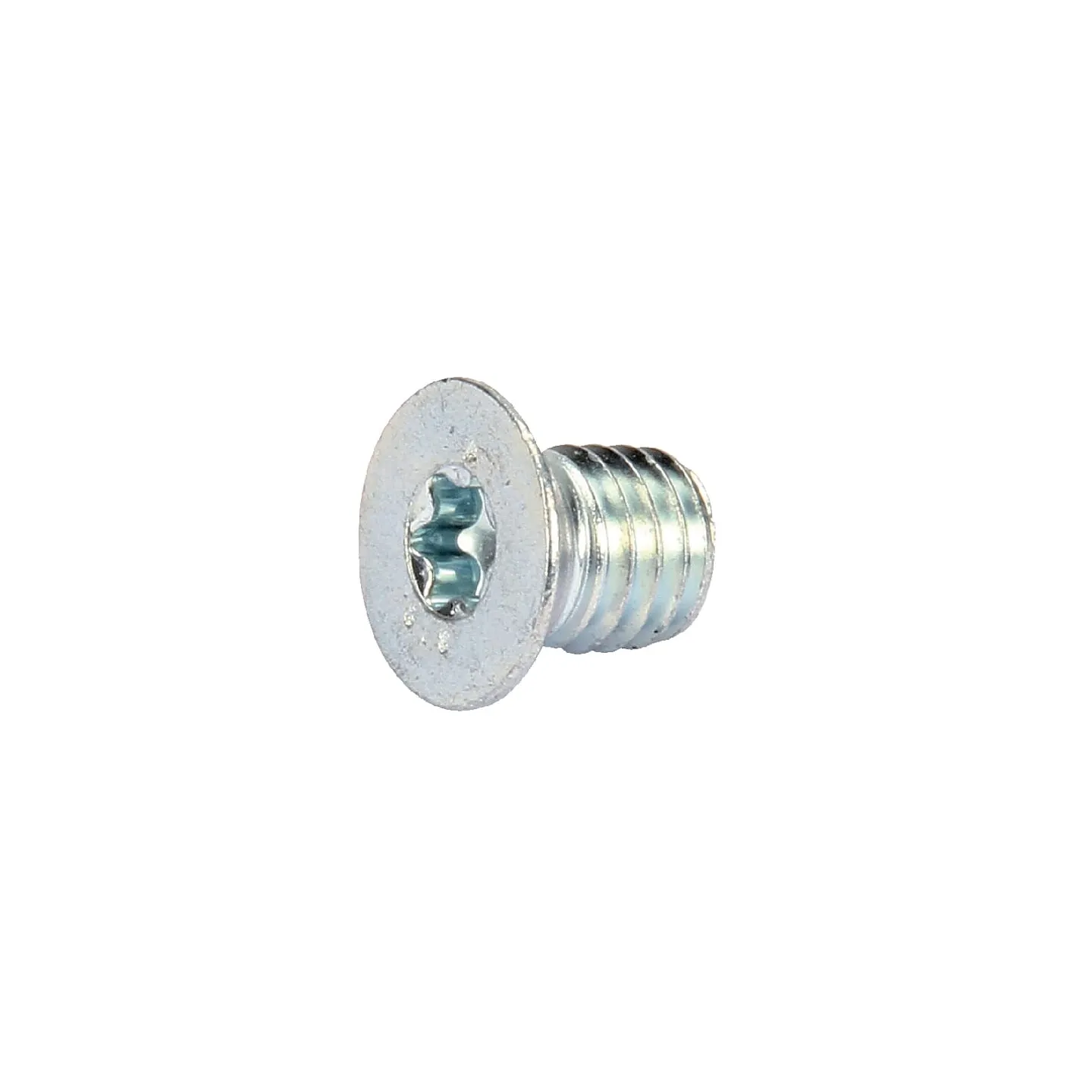 Skrūve VTK 8X010 AK503616 AL-KO AK50597230