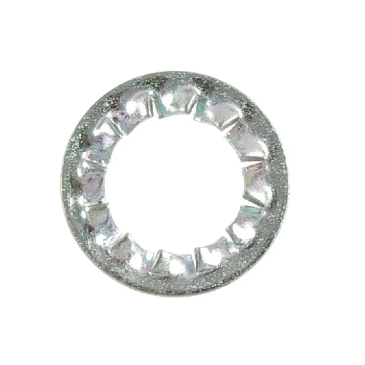 Lock washer 10,0/18  AK700202 AL-KO
