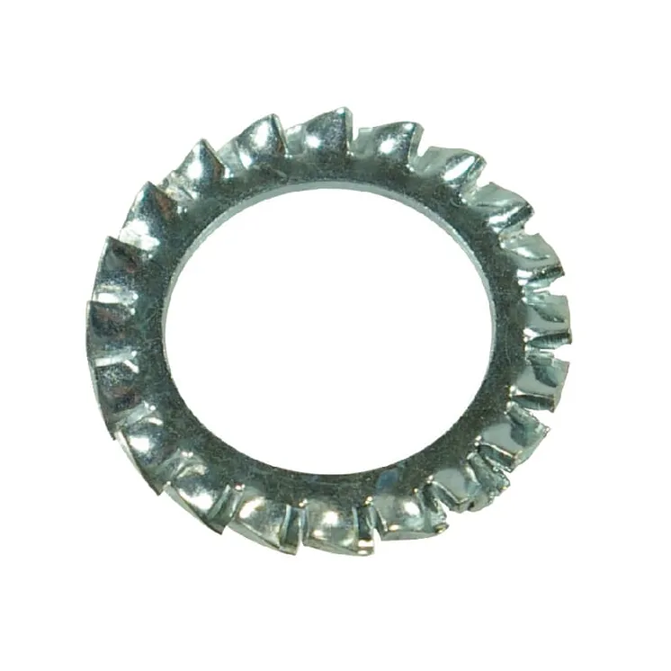 Shakeproof washer 10/21/1.6 compar  AK705615 AL-KO AK704266
