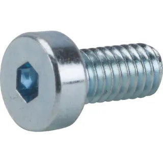 Bolt  AK705958 AL-KO