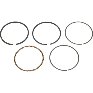 Piston ring set 140QSS  AK411886 AL-KO