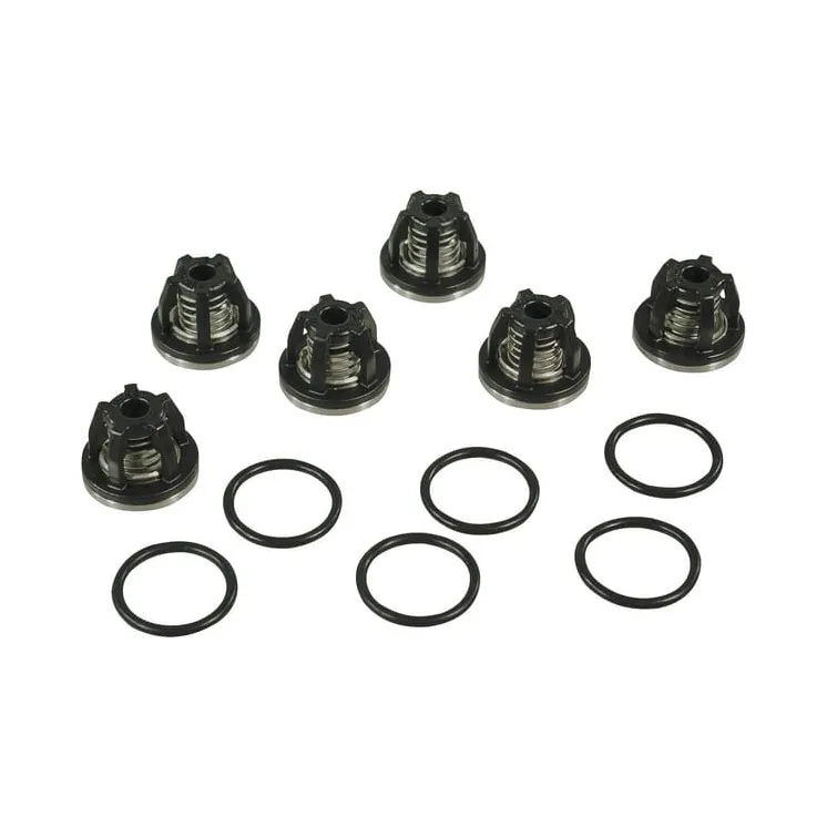 Valve Set 3 Cylinder Gomma  AR2370 Annovi Reverberi