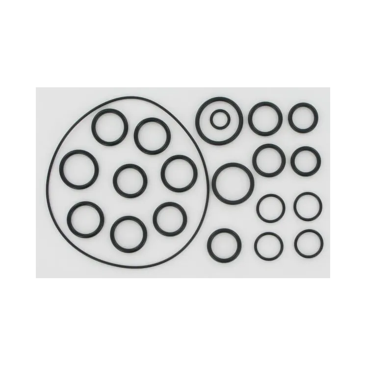 Set of O-rings for AR202 / 252  AR2409 Annovi Reverberi