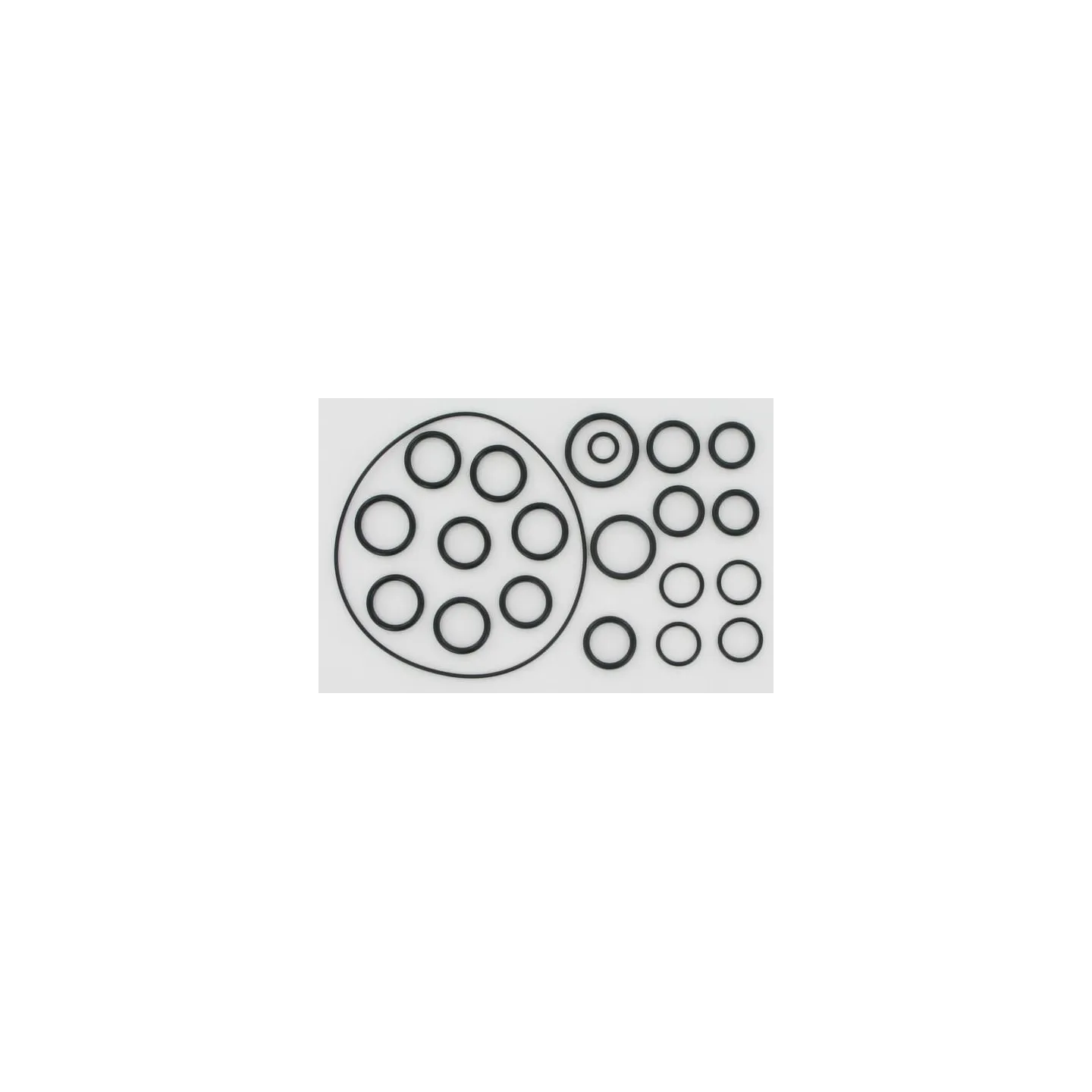 Set of O-rings for AR202 / 252  AR2409 Annovi Reverberi