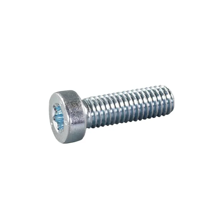 Cylinder screw M8x25  E05833ASM AS-Motor