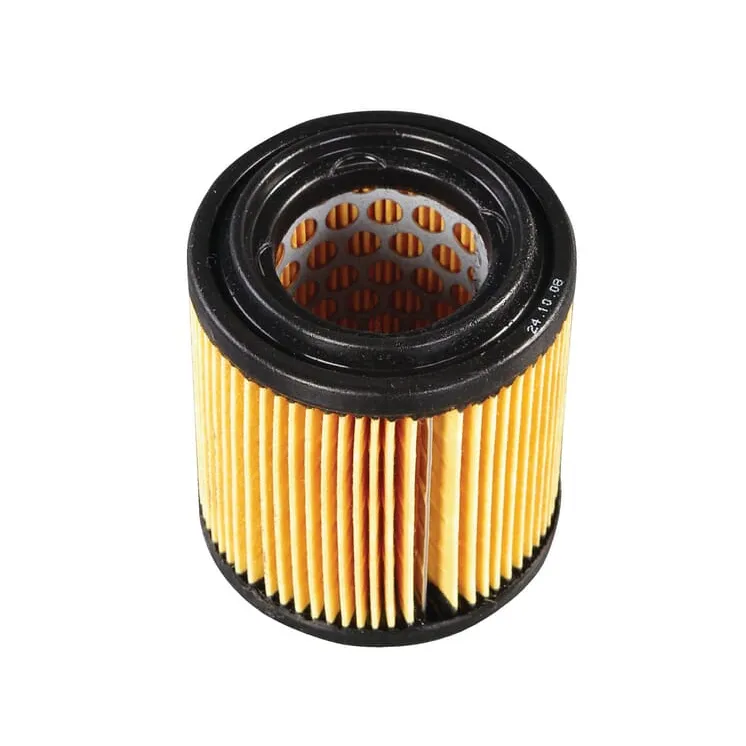 Gaisa filtrs E04221ASM AS-Motor