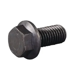 Bolt M12x25  E05855ASM AS-Motor
