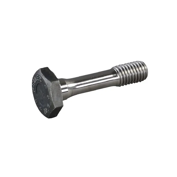 Asmens skrūve E03460ASM AS-Motor