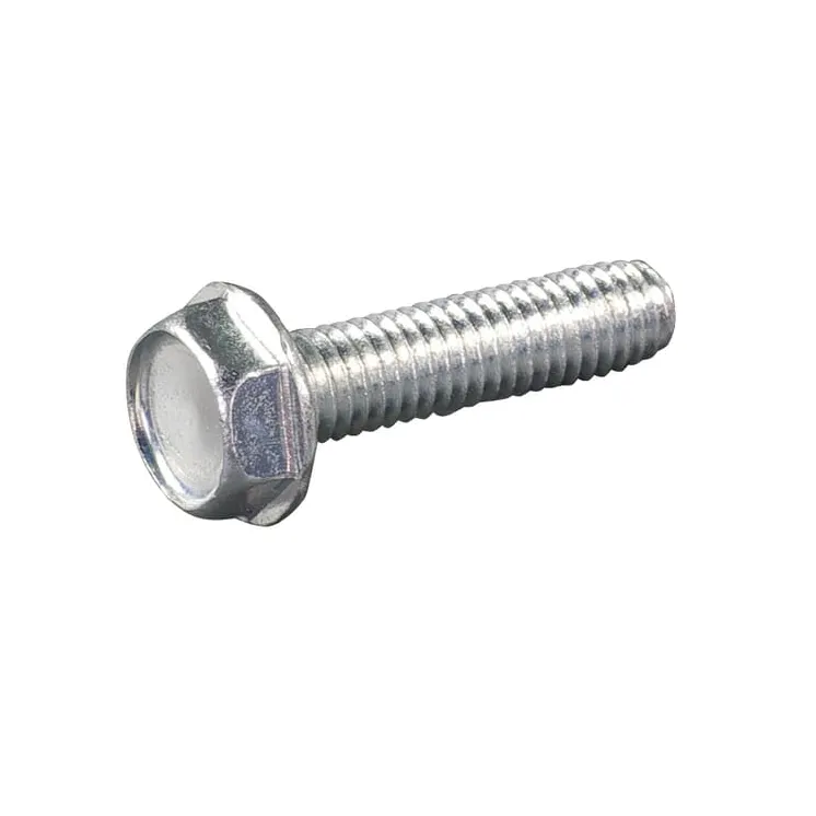 Bolt M6x25 DIN7500  E05422ASM AS-Motor