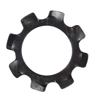 Tooth washer A6. 4 DIN6797  E03789ASM AS-Motor