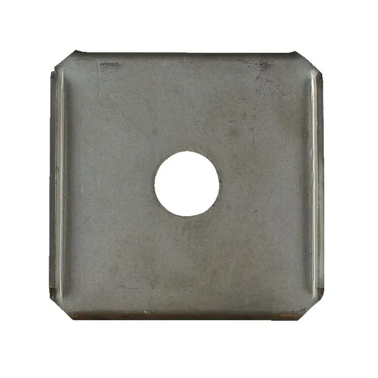 Locking plate  E06439ASM AS-Motor