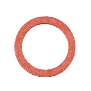 Seal  E05501ASM AS-Motor