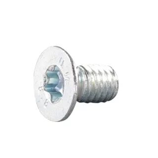 Counters.bolt ITorx-M6x10-8.8 E05845ASM AS-Motor