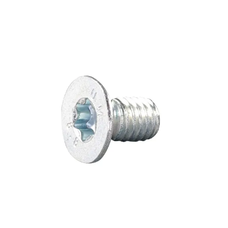 Counters.bolt ITorx-M6x10-8.8 E05845ASM AS-Motor