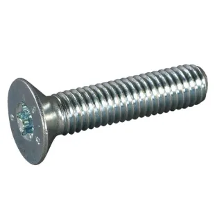 Screw M8x35 Innentorx  E07874ASM AS-Motor
