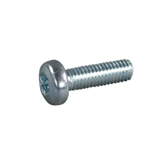 Skrūve Iekšējā Torx M6x20-8.8 E04308ASM AS-Motor