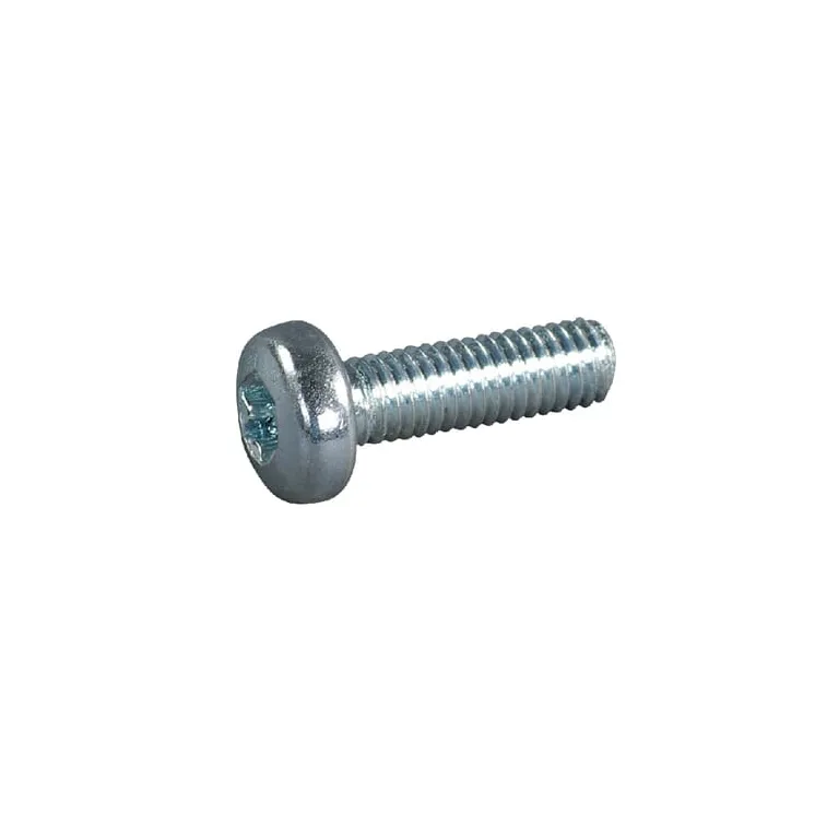Skrūve Iekšējā Torx M6x20-8.8 E04308ASM AS-Motor