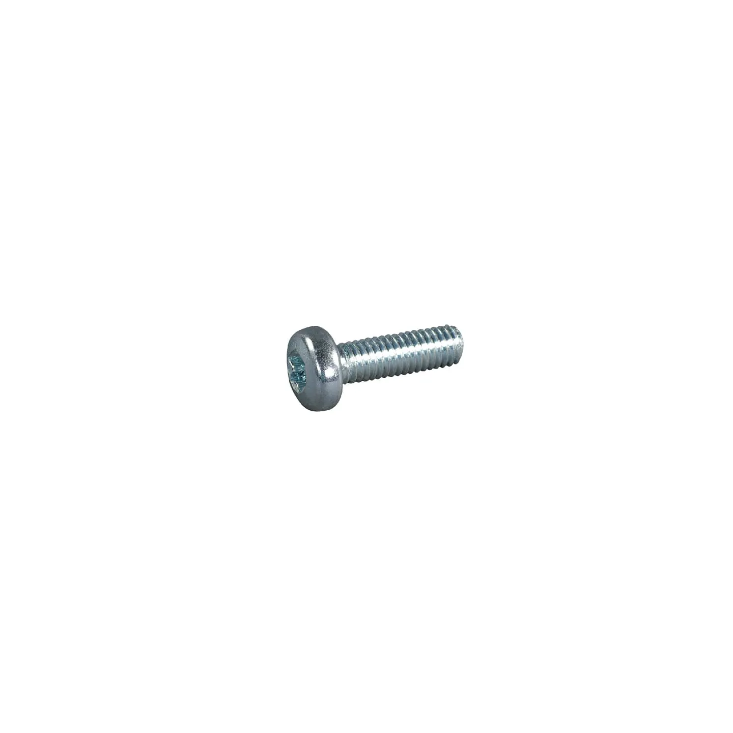 Skrūve Iekšējā Torx M6x20-8.8 E04308ASM AS-Motor