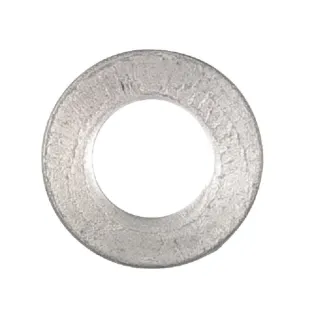 Plate spring M6  E05862ASM AS-Motor