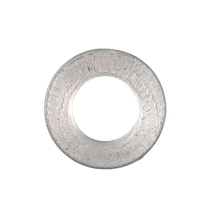 Plate spring M6  E05862ASM AS-Motor
