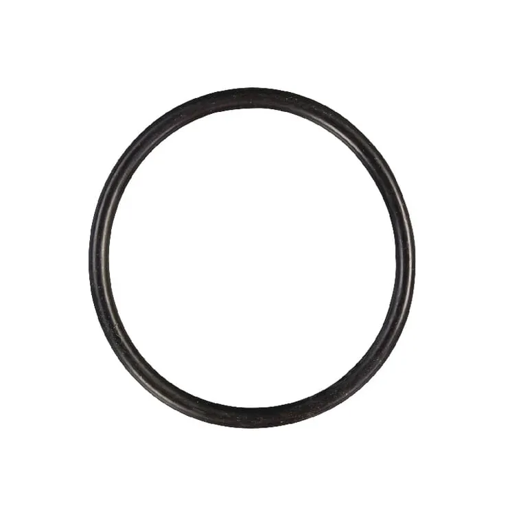 O-ring 63x55x4  E06177ASM AS-Motor