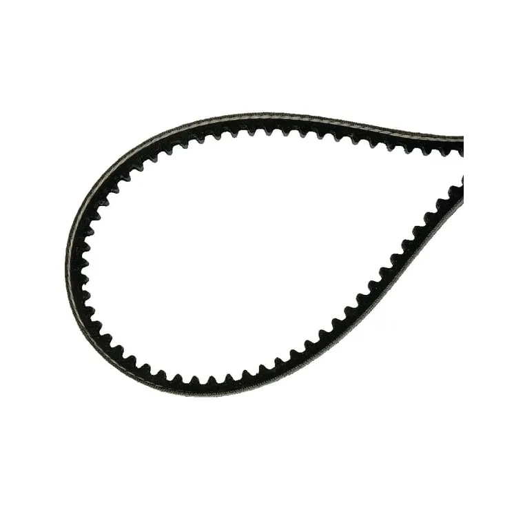 V-belt  E08876ASM AS-Motor