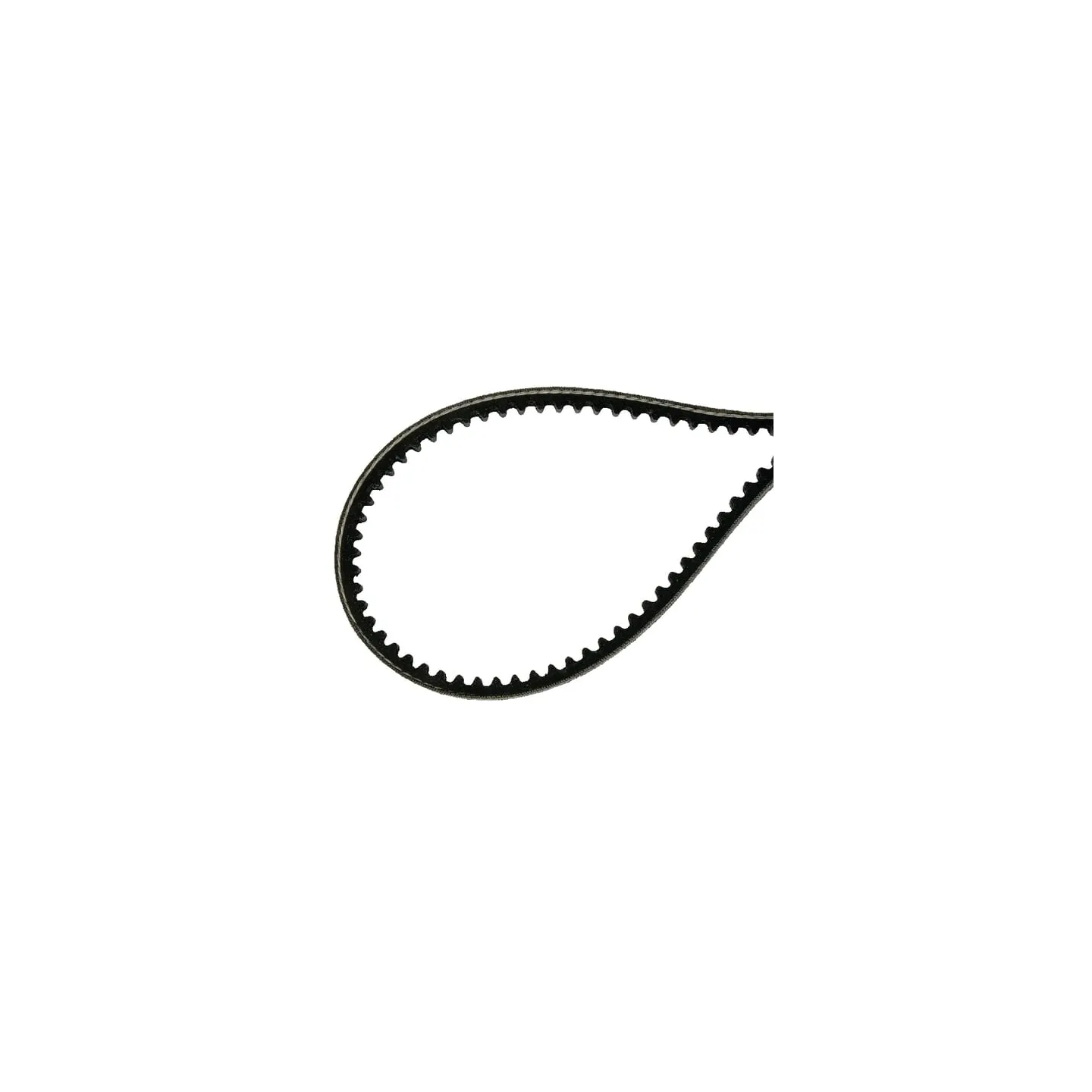 V-belt  E08876ASM AS-Motor
