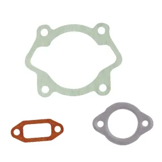 Blīvējuma komplekts 6 ZS dzinējs E03683ASM AS-Motor