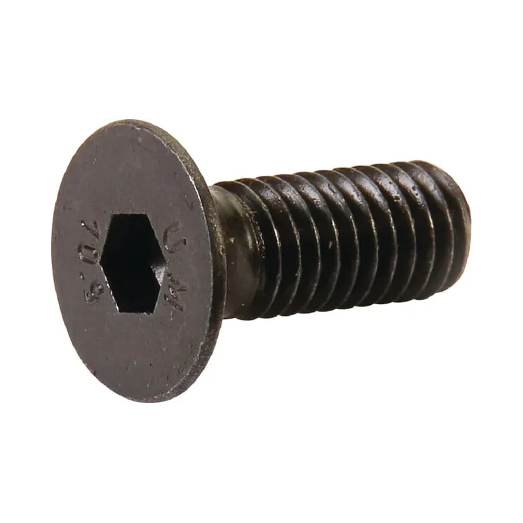 Sešstūra ligzdas skrūve E06091ASM AS-Motor