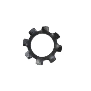 Tooth washer 8.4 DIN6797  E04352ASM AS-Motor