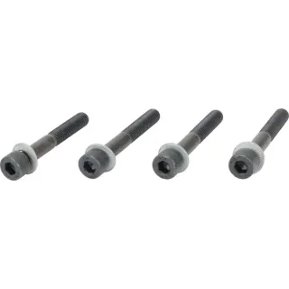 Bolt for cylinder 6-PS  E05322ASM AS-Motor