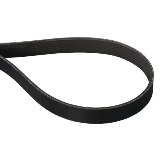 V-Belt Poly 8PJ 1285Lp  E04736ASM AS-Motor
