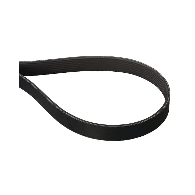 V-Belt Poly 8PJ 1285Lp  E04736ASM AS-Motor