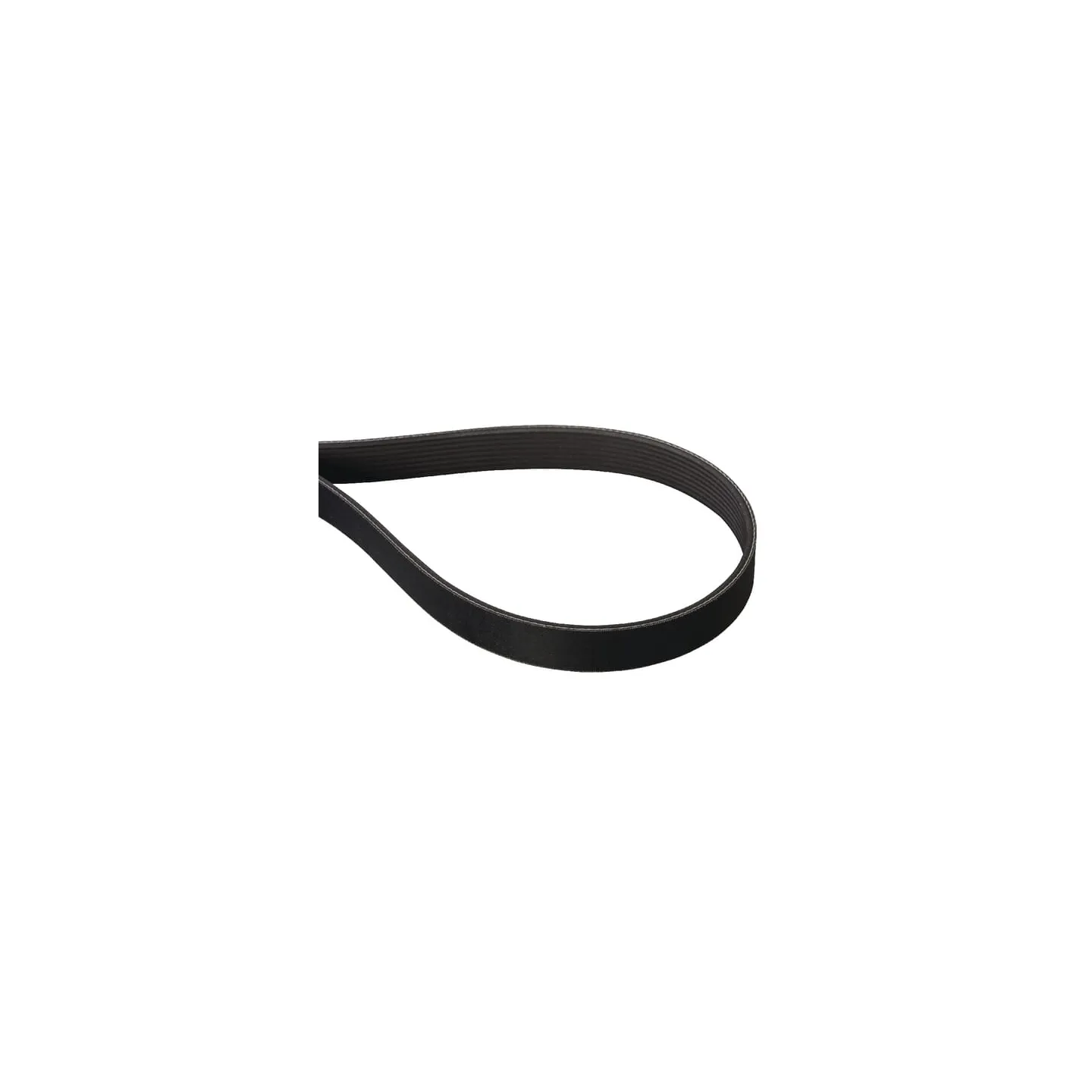 V-Belt Poly 8PJ 1285Lp  E04736ASM AS-Motor
