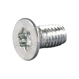 Bolt 5x10 with Torx  E05451ASM AS-Motor